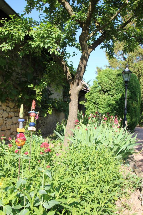 Bio-Weingut, Gaestehaus Und Kraeuterhof Flomborn Exterior photo