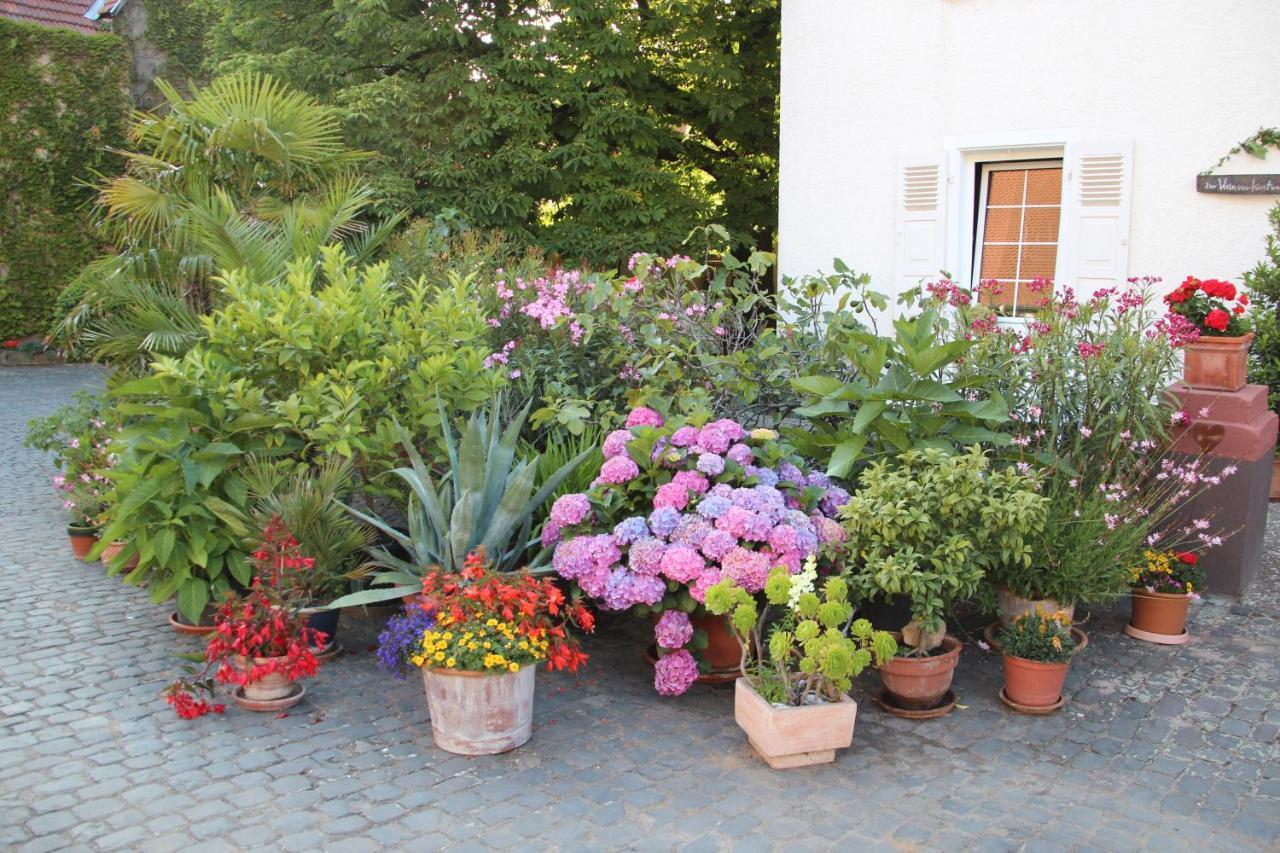 Bio-Weingut, Gaestehaus Und Kraeuterhof Flomborn Exterior photo
