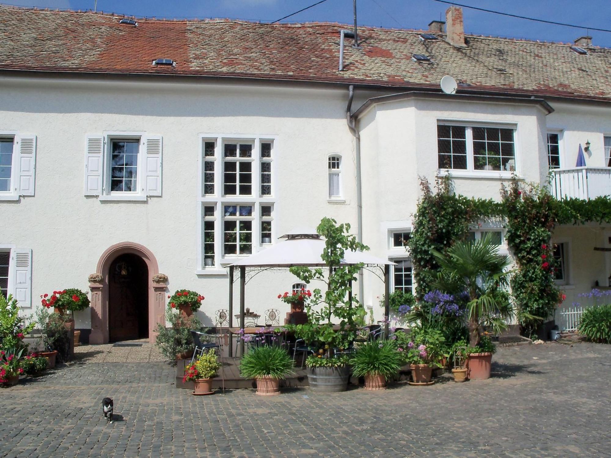Bio-Weingut, Gaestehaus Und Kraeuterhof Flomborn Exterior photo