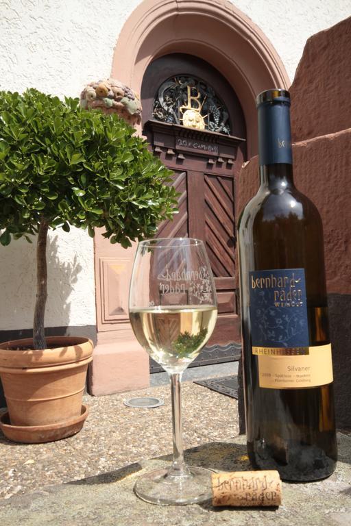 Bio-Weingut, Gaestehaus Und Kraeuterhof Flomborn Exterior photo